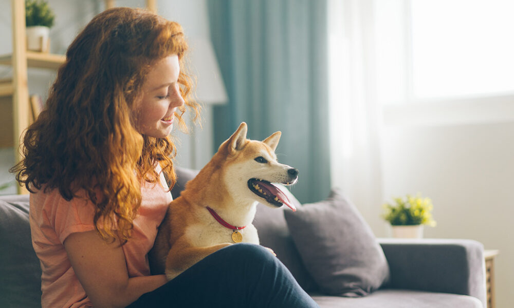 how-pet-owners-should-maintain-their-hvac-ottawa-system