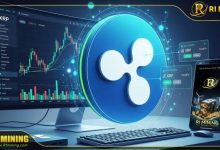 ri-mining-unveils-xrp-contract-mobile-app-for-easy-crypto-engagement